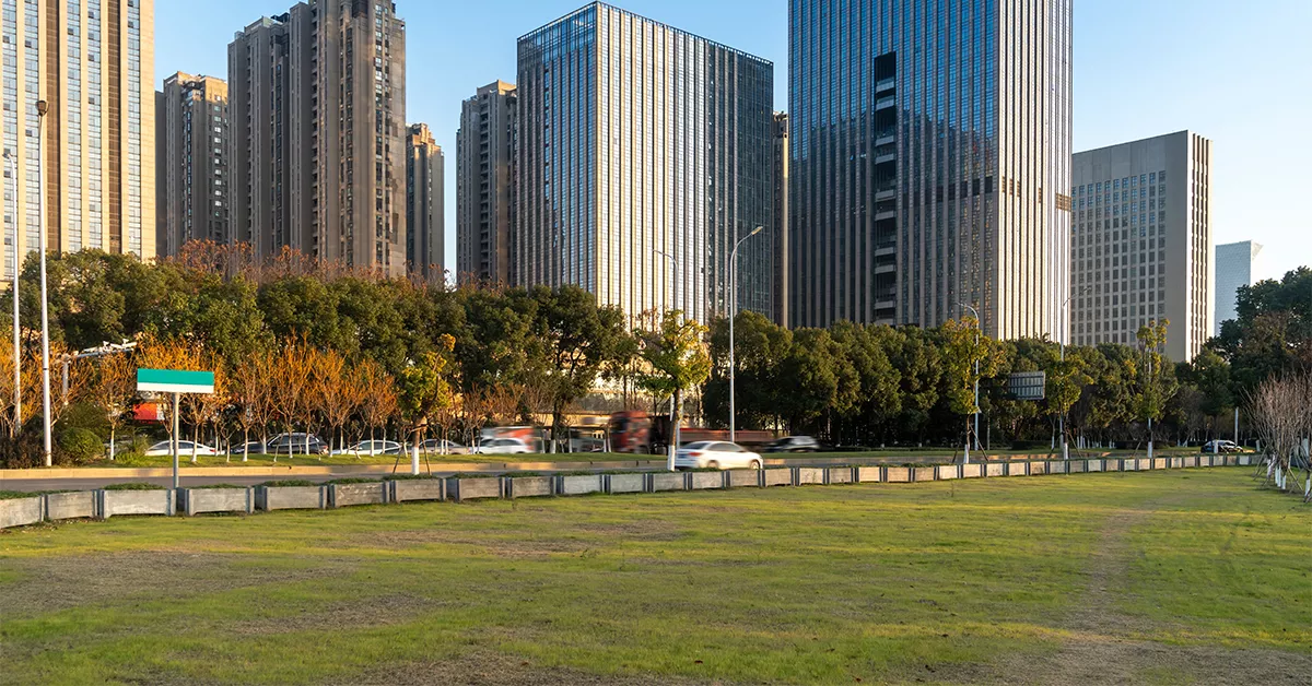 Lush Green Park