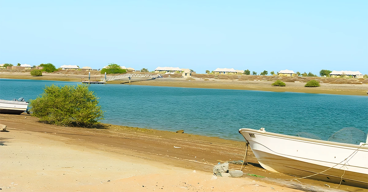 Khor Kalba Mangrove Centre at Kalba Beach
