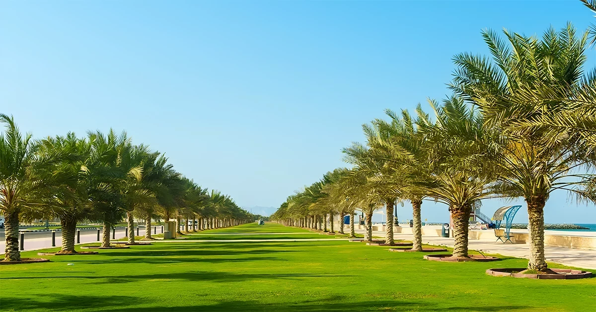Kalba Corniche Park Sharjah