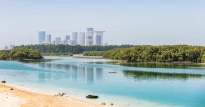 Living in Qasr Al Bahr near Mangrove national park