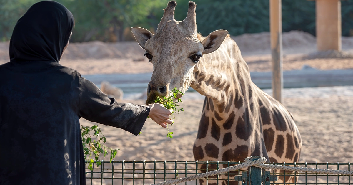 Al Buqaish Private Zoo