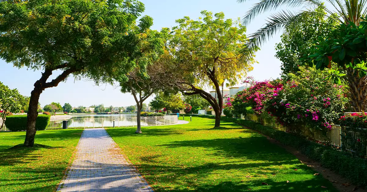 life in the meadow dubai