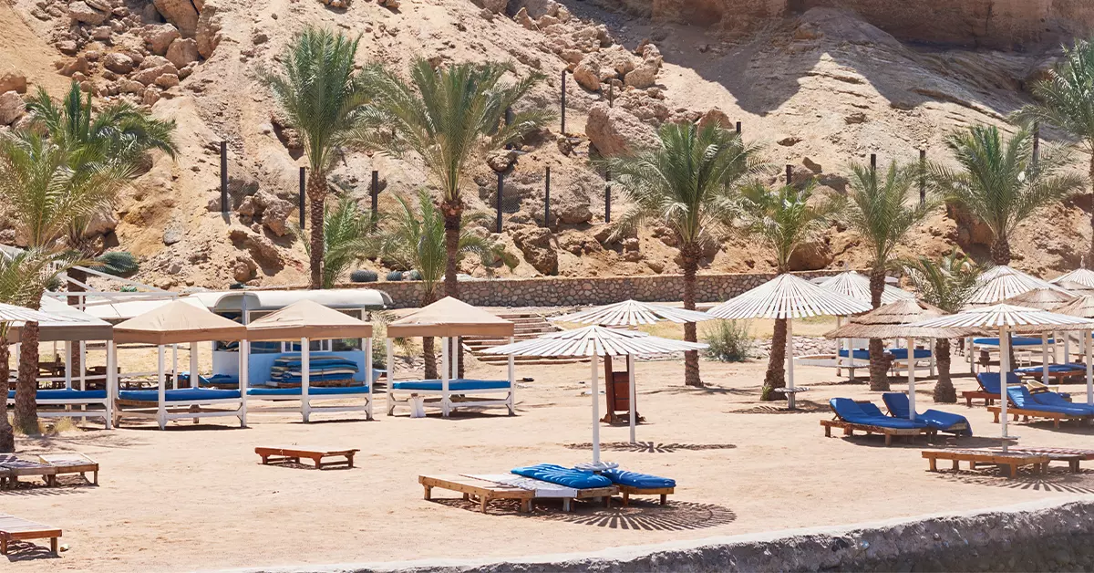 تشتهر واحة هيلي العين بتراثها العريق 