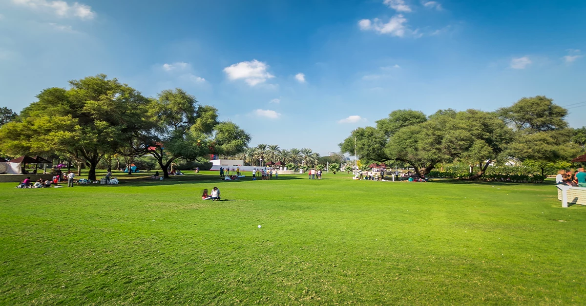 Green Park in sharjah
