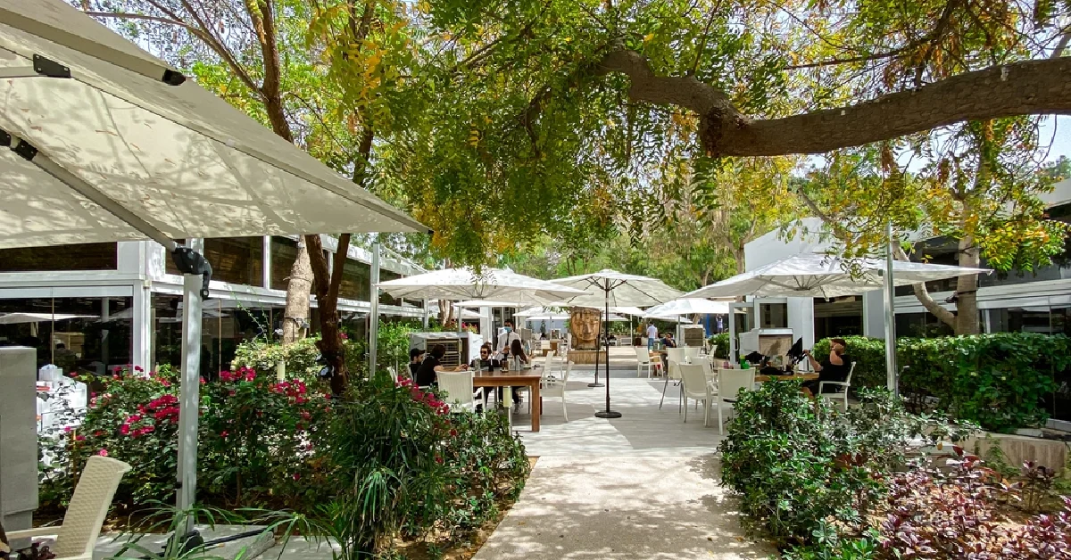 All About Al Barari Nature Escapes