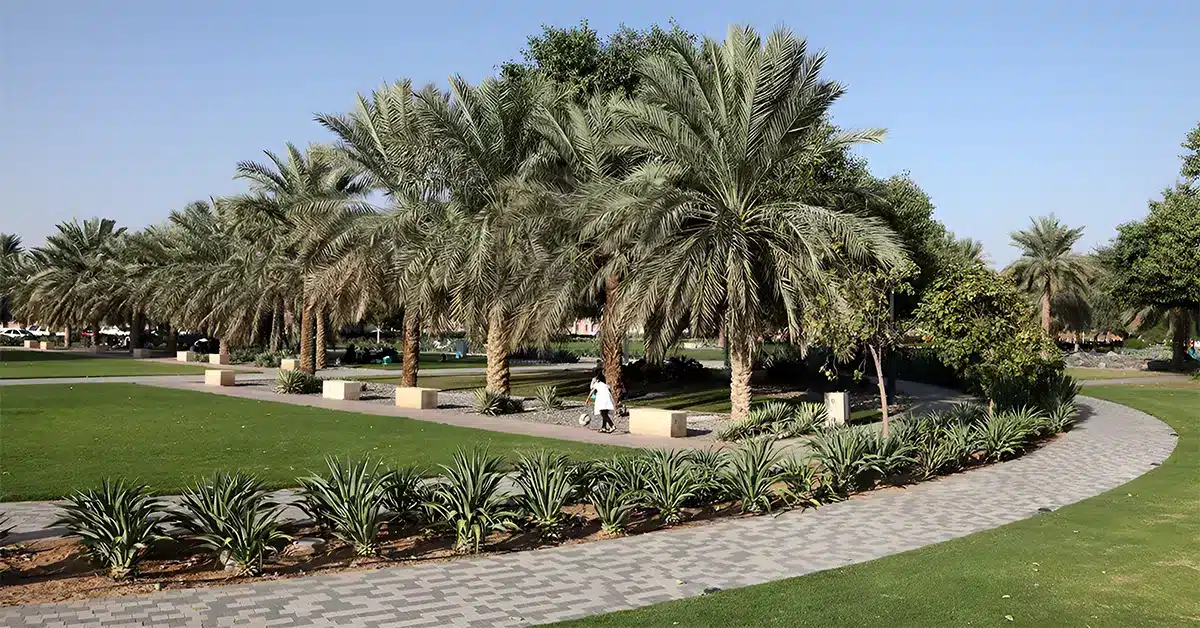 Lush landscape at Al Ain park