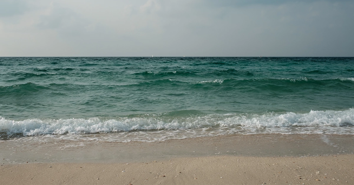 Serene Beachview