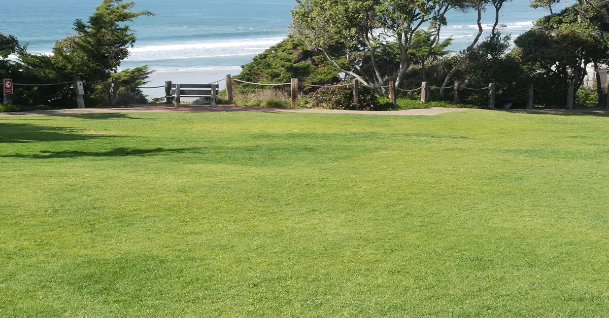 Beach Park