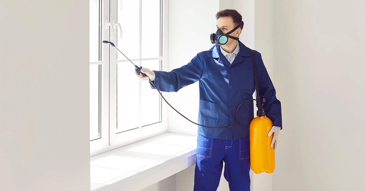Pest Control Companies in Ajman