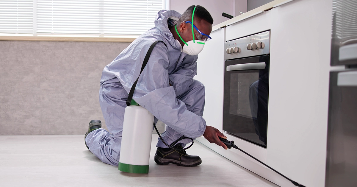 Pest Control Companies in Ajman