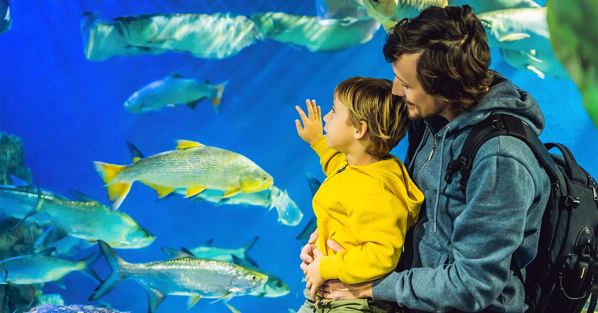  Things To Do in Dubai With Kids in Summer