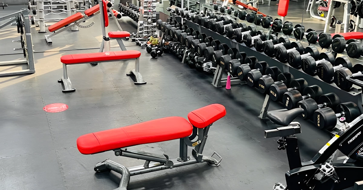 Pro Fitness Gym in Karama