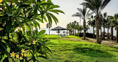 Dibba Al Hisn Public Park