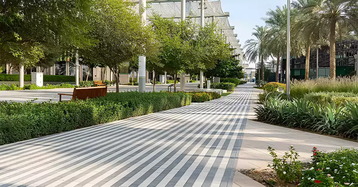 Beautiful Park in Dubai