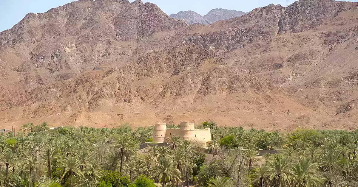 A fort surrounded by date farms 
