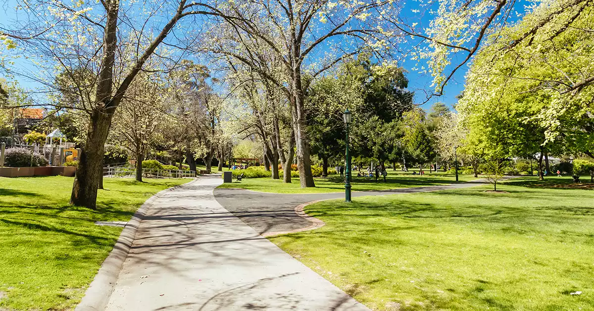 Beautiful Park