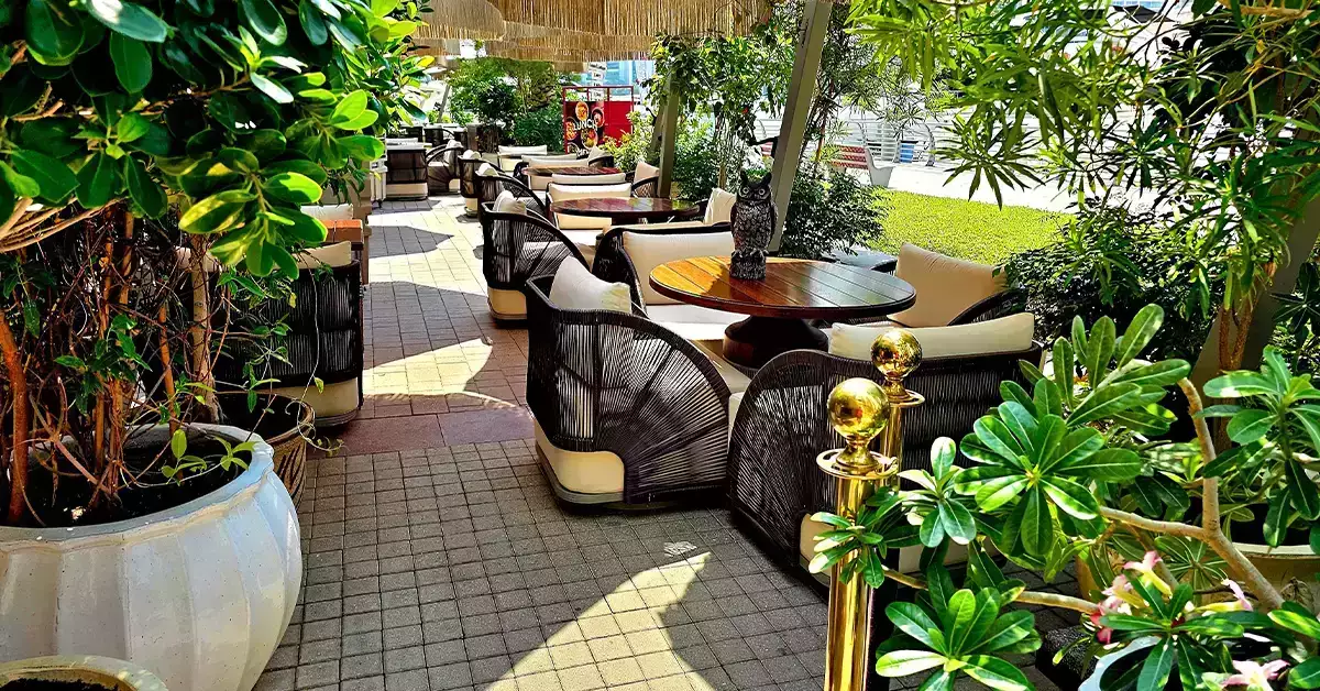 24 hours outdoor cafes in dubai