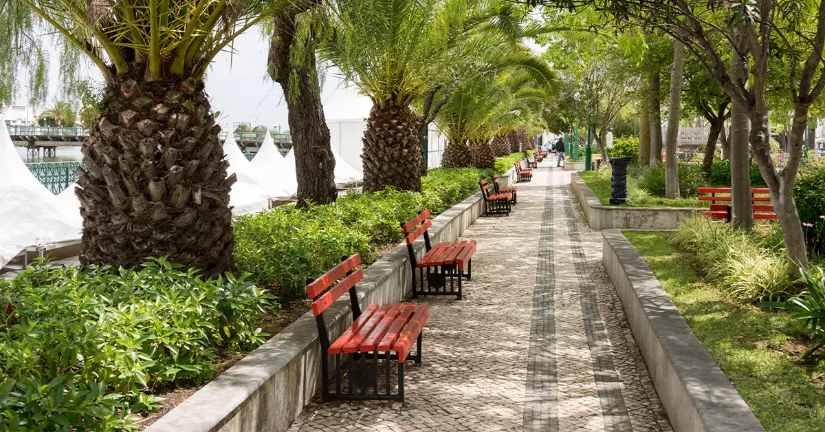 An atmosphere of Dibba Al Hisn Public Park