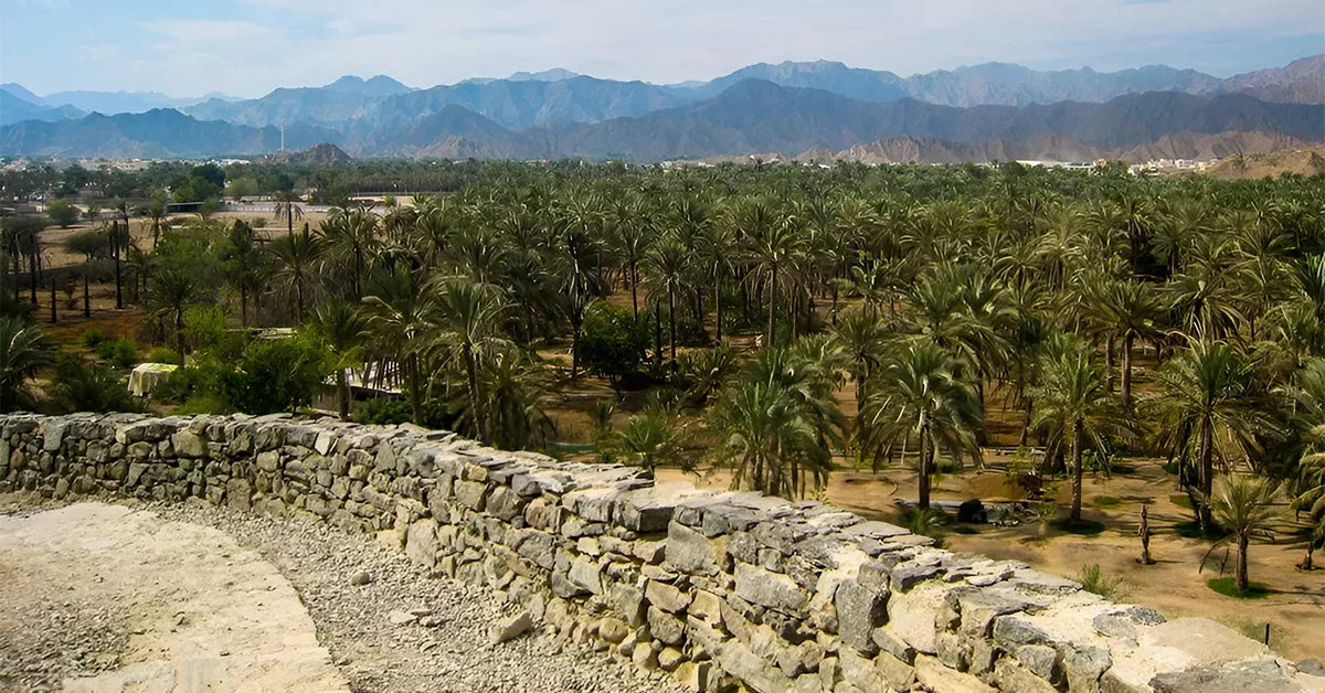 Living in Masfout, Ajman
