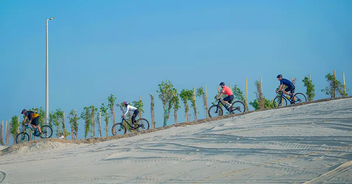 Trail x cycle track