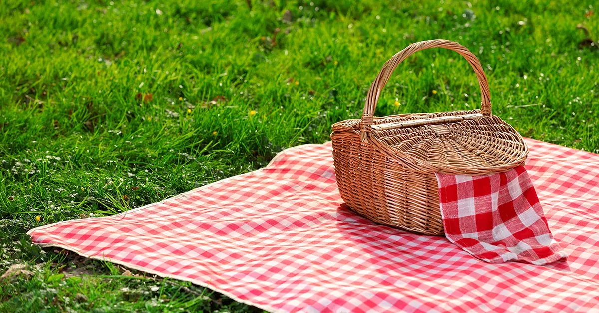Picnic in the park