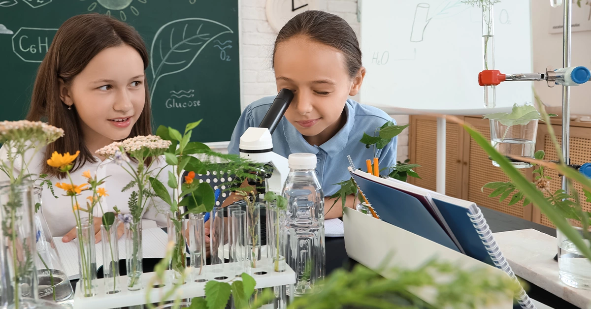 Living in Al Tayy Suburb provides access to top schools