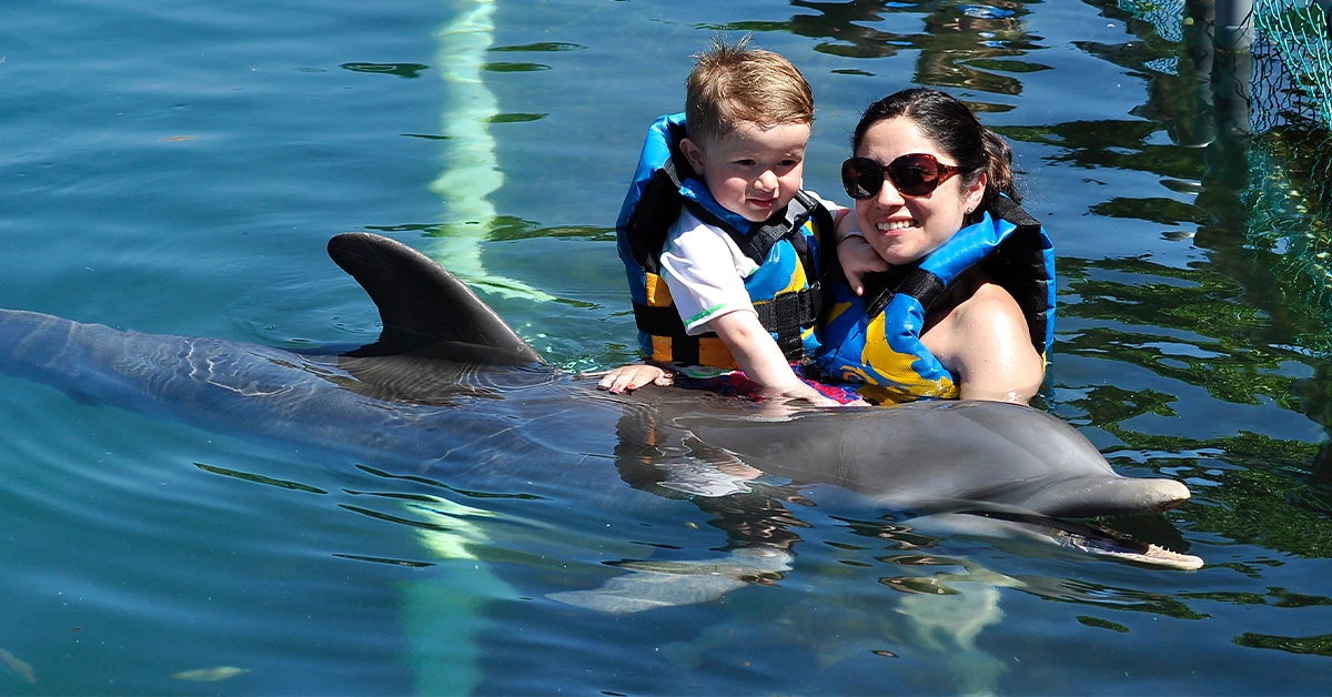 family activities at dolphin bay dubai