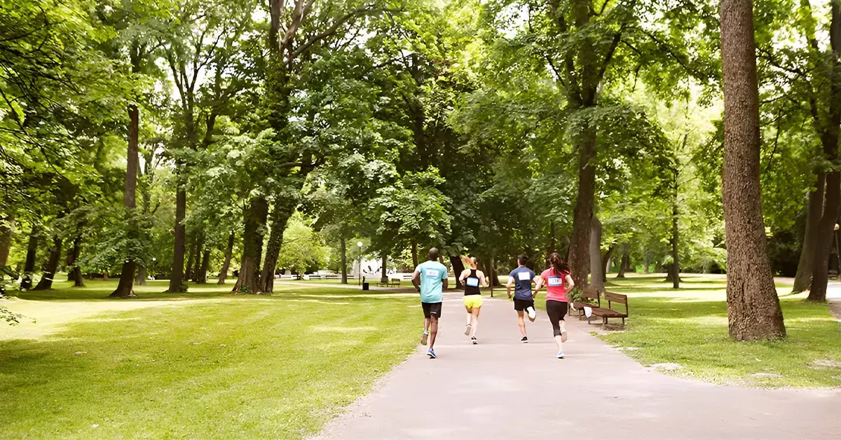People Running in Park