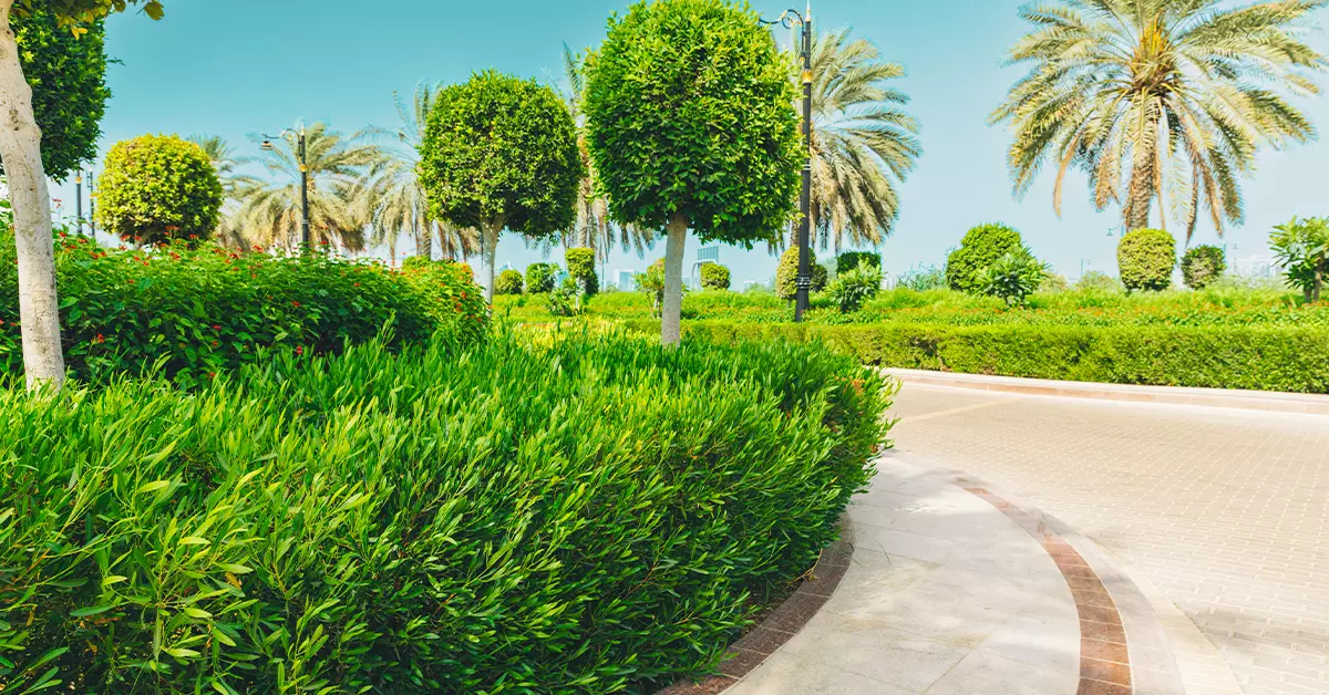 Al Ruwais Parks