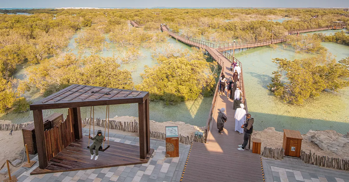 mangrove boardwalk in Al Fahid Island, Abu Dhabi