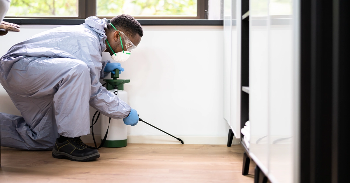 Pest control services