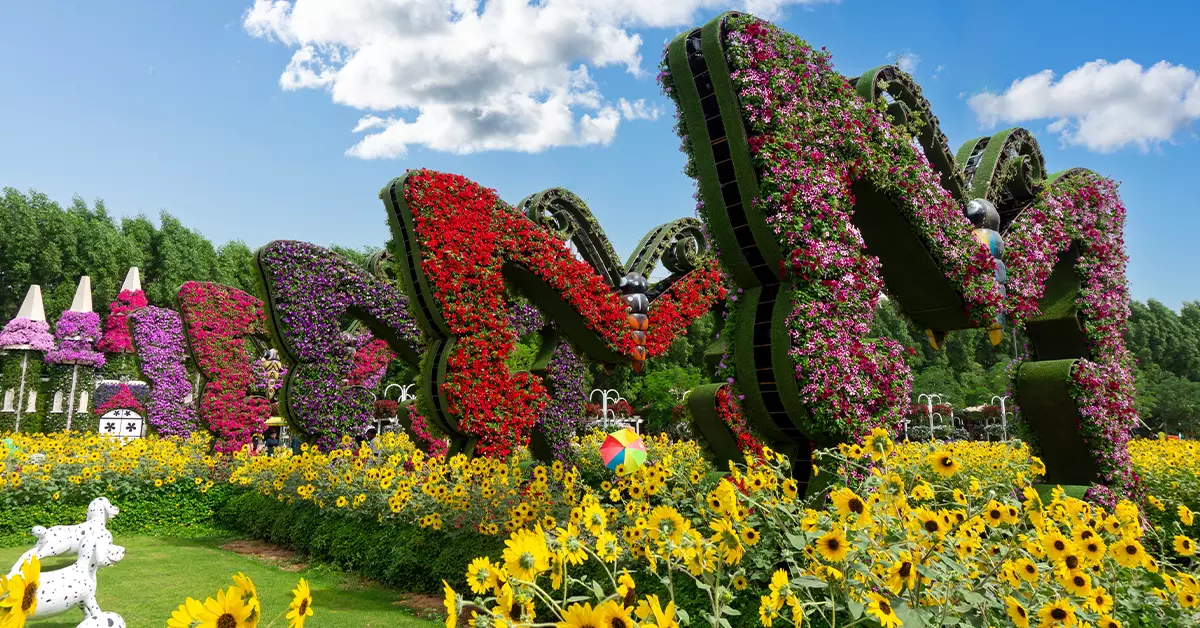 Stunning floral arrangements at Dubai Butterfly Garden are enough to leave you in awe