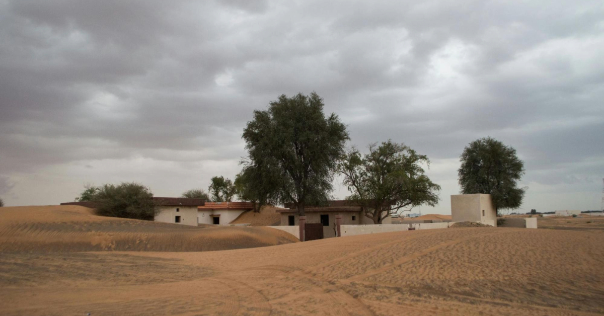Desert homes with a few trees around them