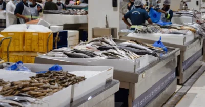 Sharjah Fish Market