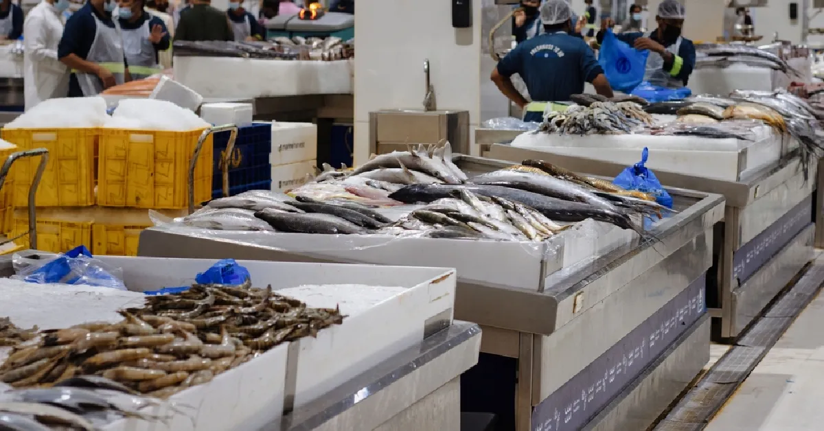 Sharjah Fish Market