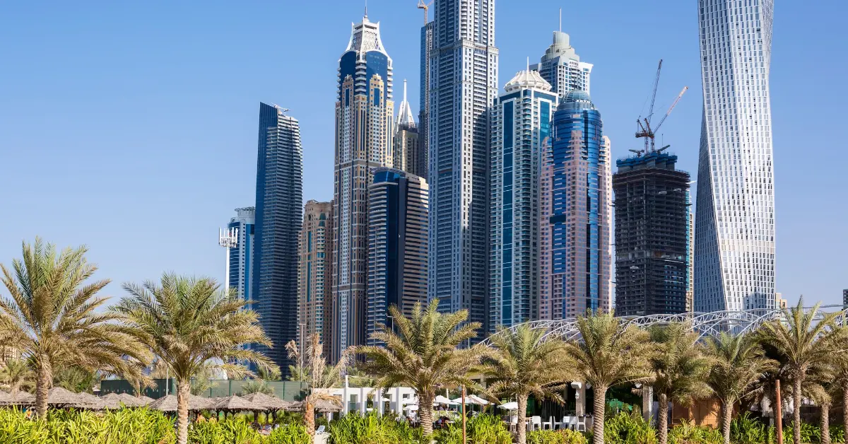 Dubai Palm trees during daylight