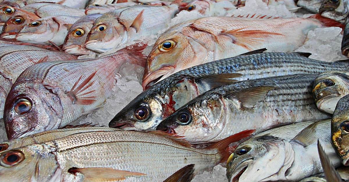 Fishes in the market