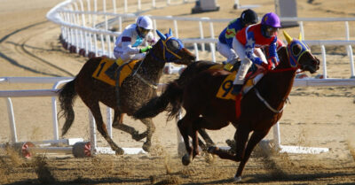 Complete Guide on Meydan Racecourse in Dubai