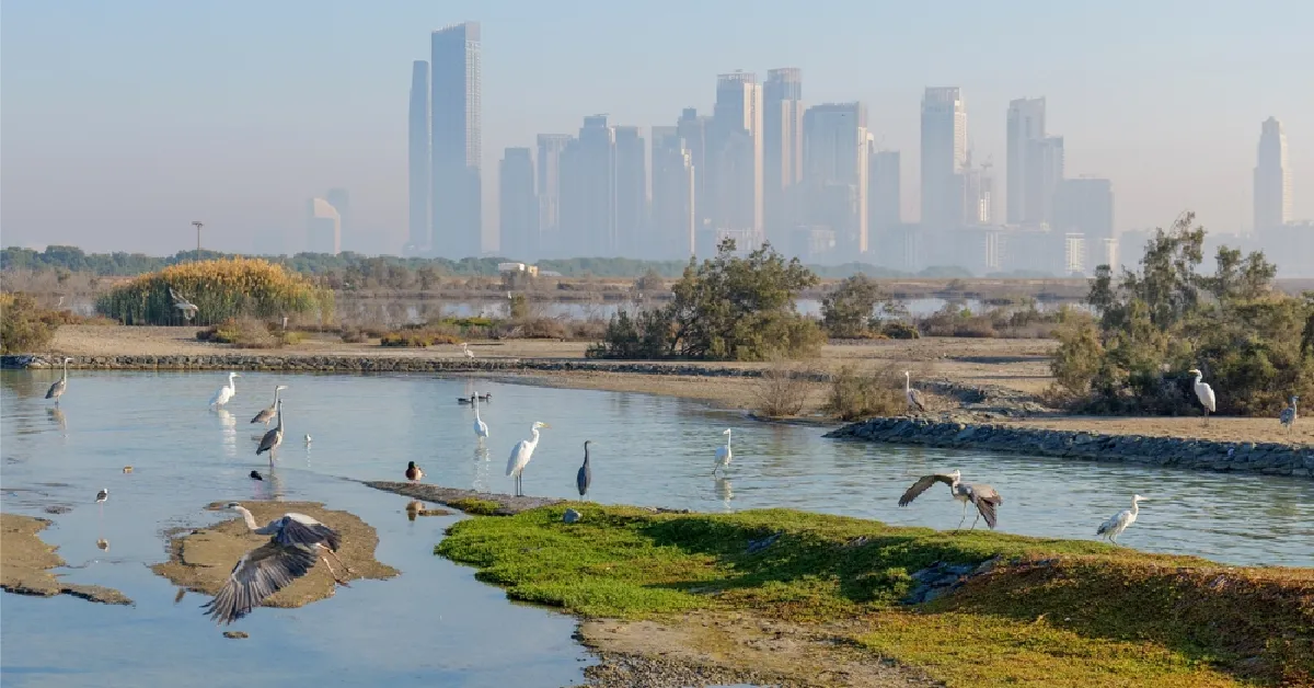 Khor Al Beidah
