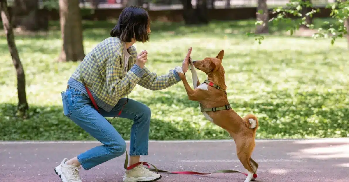 BarkPark