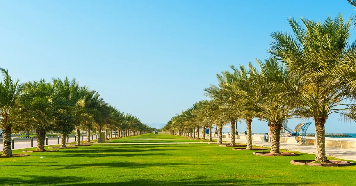 Best Things To Do and Tourist Attractions to Visit in Kalba, Sharjah