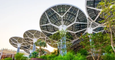 how to be environmentally friendly at home