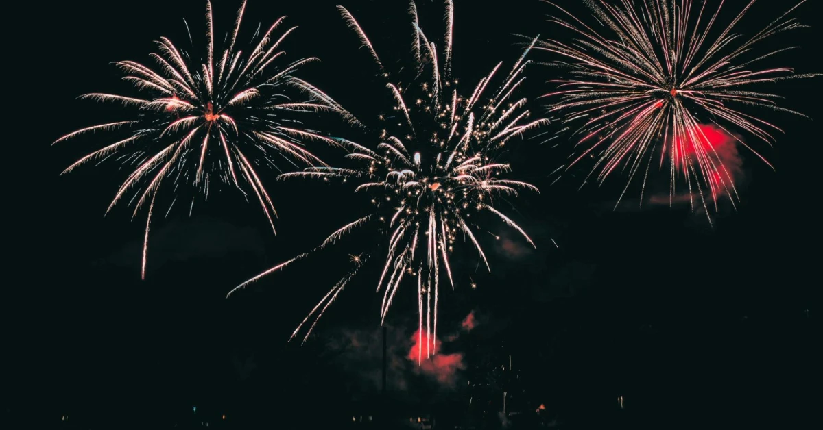 fireworks exploding in the sky at night