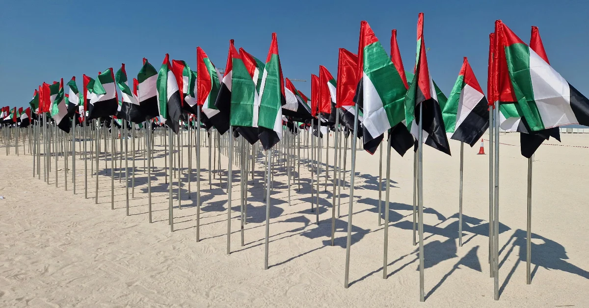UAE Flags Displayed on a Sandy Beach