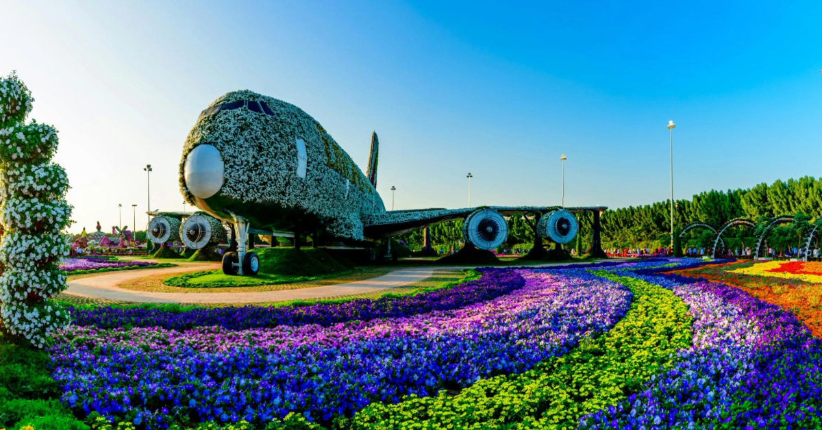 Airplane Covered in Flowers in Dubai Miracle Garden