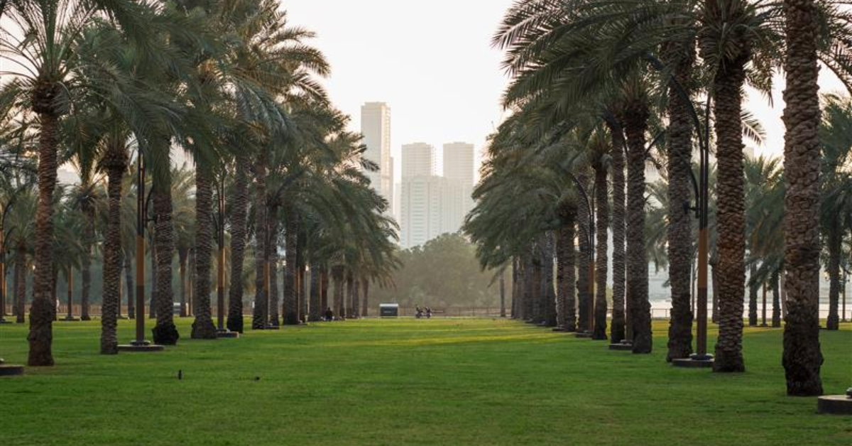 City park Buhaira Cornish with palm trees in Sharjah