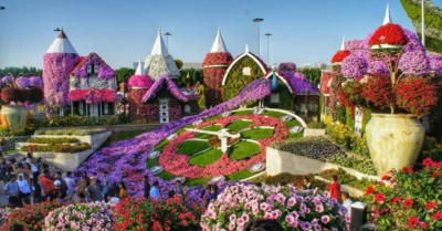 Miracle Garden filled with thousands of vibrant, fully bloomed flowers