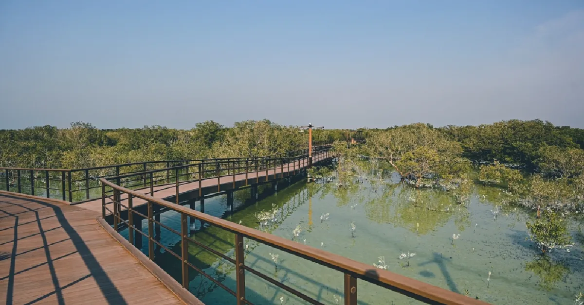 محمية القرم الطبيعية