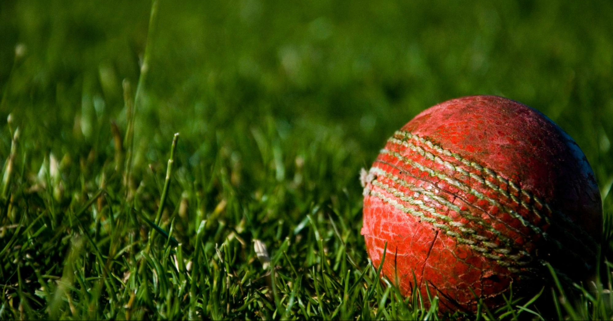 Red cricket ball on grass