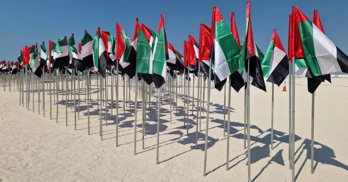 صورة توضح الاحتفال بيوم العلم الإماراتي